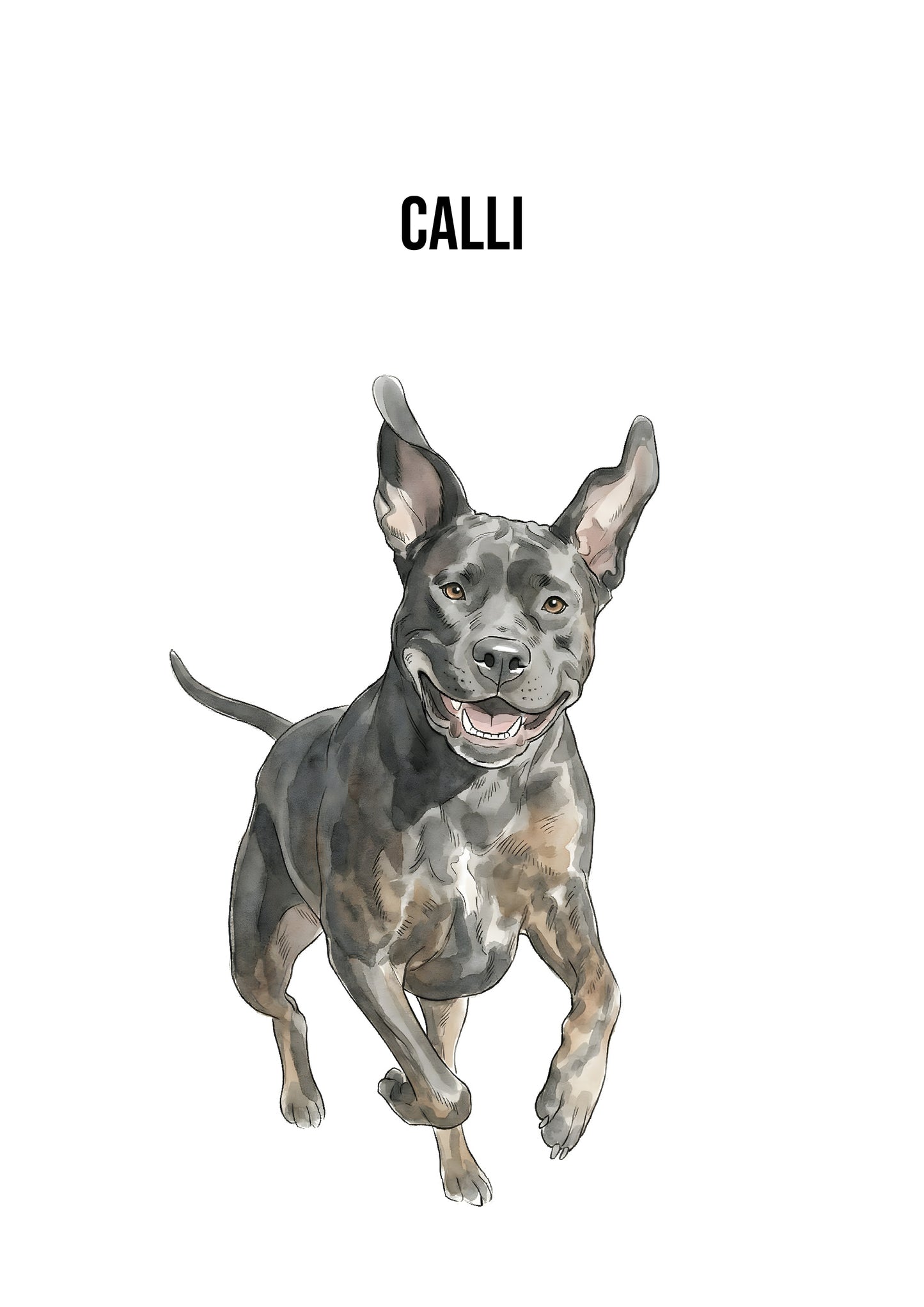 Custom digital pet art portraits